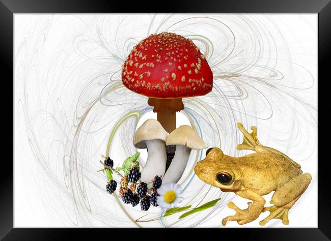 Mr Frog and the Toadstool. Framed Print by Heather Goodwin