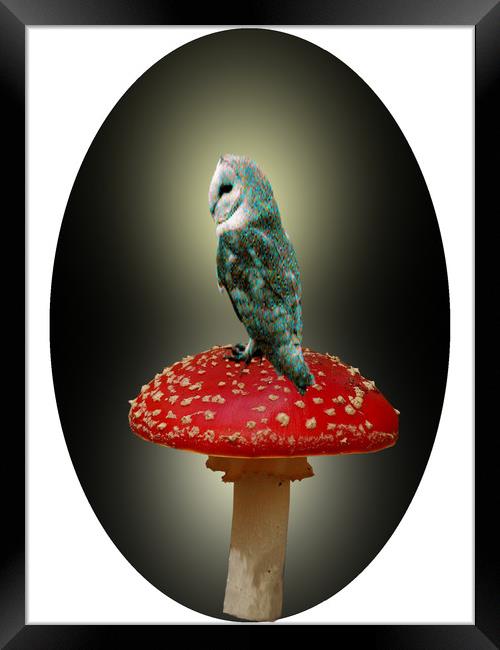 Owl Sitting Pretty. Framed Print by Heather Goodwin