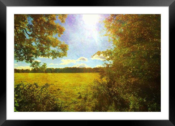 Sun Flare. Framed Mounted Print by Heather Goodwin