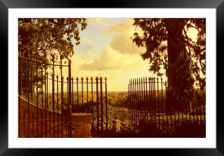 Bristol City from Ashton Park. Framed Mounted Print by Heather Goodwin