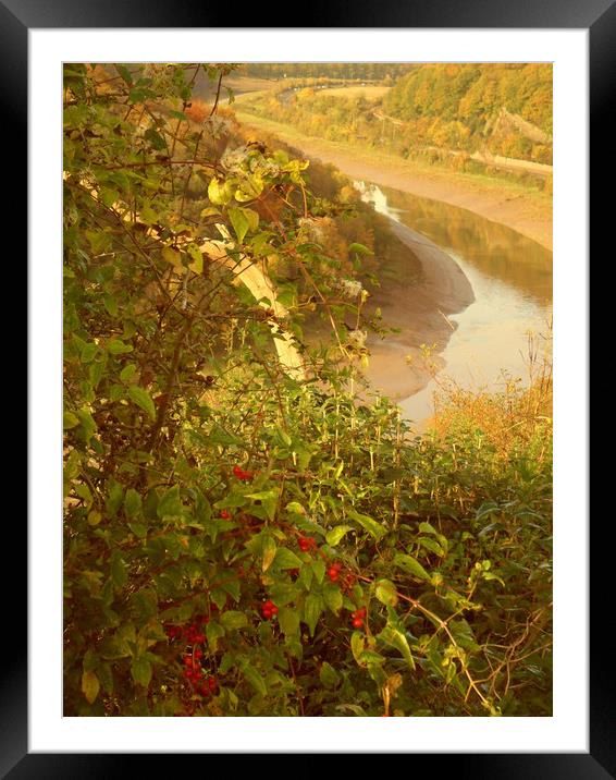 Along the Gorge. Framed Mounted Print by Heather Goodwin