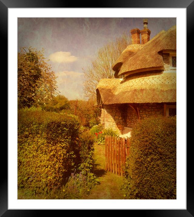 The Cottage Garden. Framed Mounted Print by Heather Goodwin
