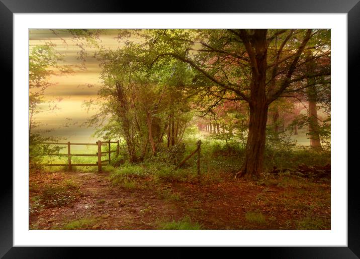 Early Morning. Framed Mounted Print by Heather Goodwin