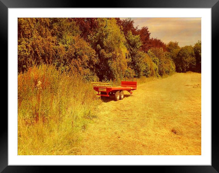  Summer Mowing. Framed Mounted Print by Heather Goodwin