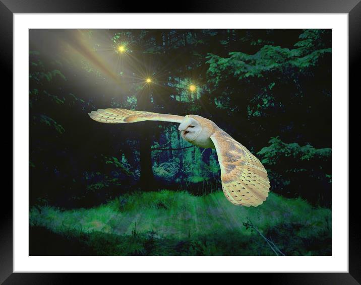  Night Owl. Framed Mounted Print by Heather Goodwin