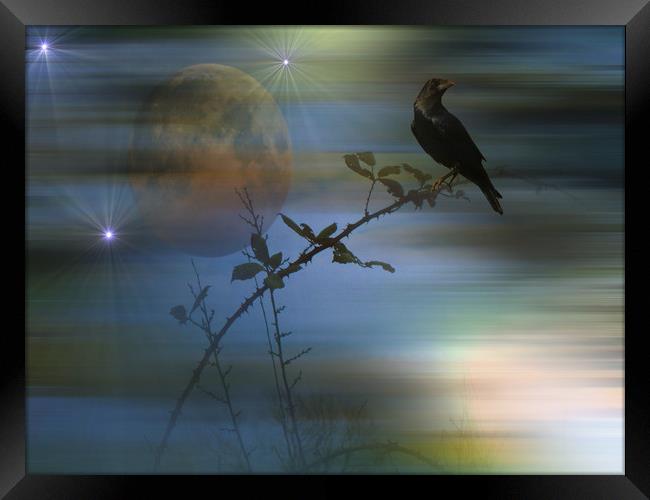  Raven's Dawn. Framed Print by Heather Goodwin