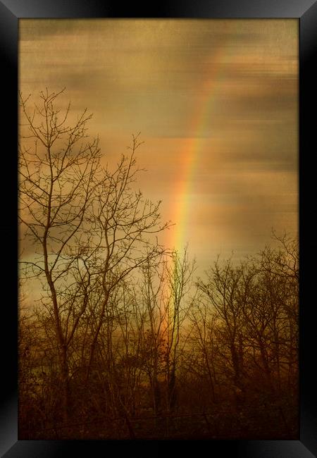  Rainbow Tracery. Framed Print by Heather Goodwin