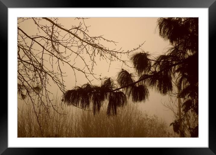  A Foggy Sunday. Framed Mounted Print by Heather Goodwin