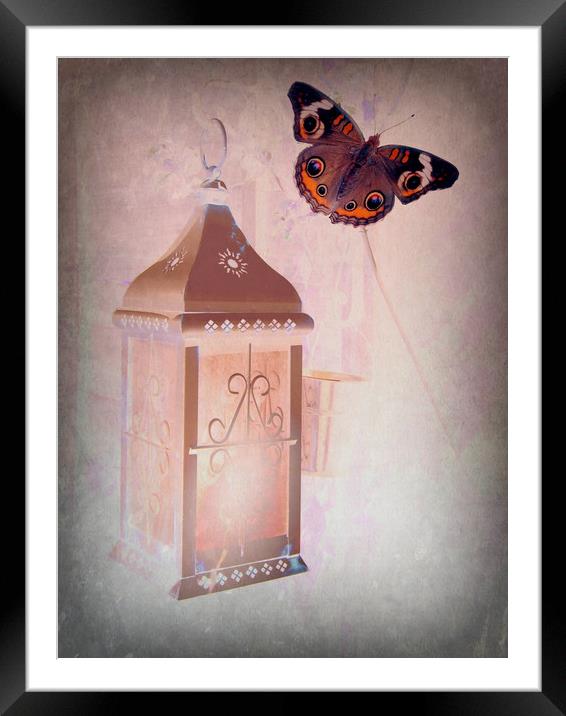 A Candle in the Dark.  Framed Mounted Print by Heather Goodwin