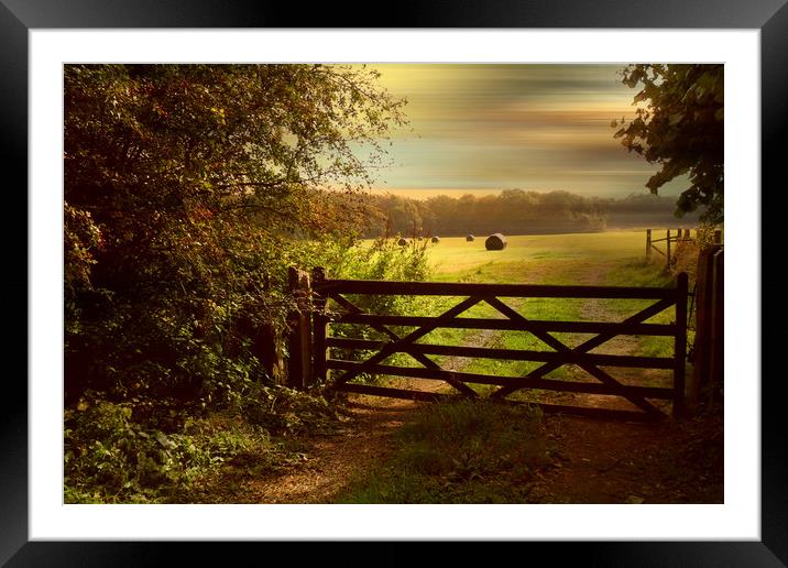  Winter Food, Gathered. Framed Mounted Print by Heather Goodwin