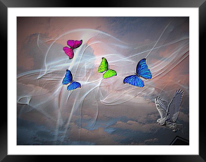 Warm Winds. Framed Mounted Print by Heather Goodwin