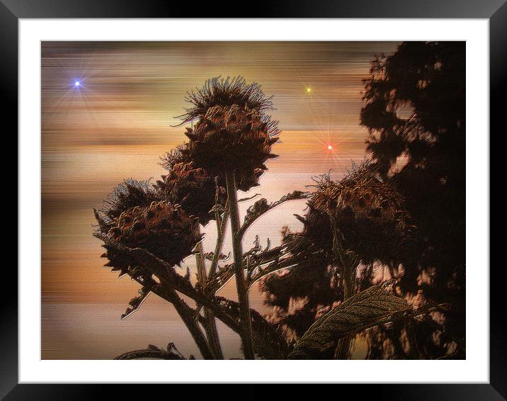 Prehistoric Growth. Framed Mounted Print by Heather Goodwin