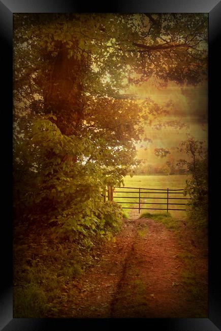 Early Morning at Four Acres. Framed Print by Heather Goodwin