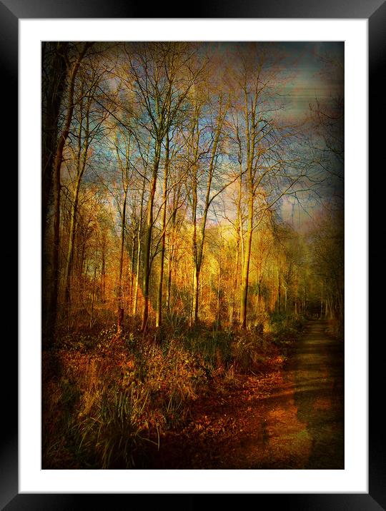 Hunter's Wood. Framed Mounted Print by Heather Goodwin