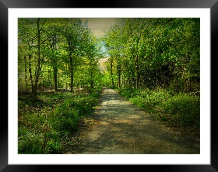 Bristol Spring. Framed Mounted Print by Heather Goodwin