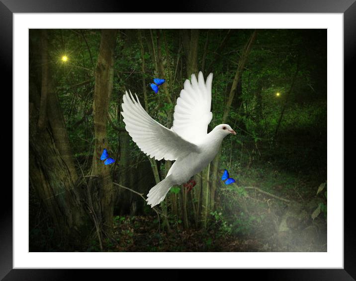 Light in the Darkness. Framed Mounted Print by Heather Goodwin