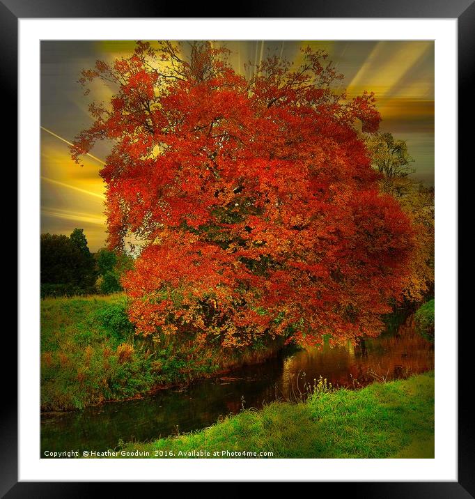 The Burning Bush. Framed Mounted Print by Heather Goodwin