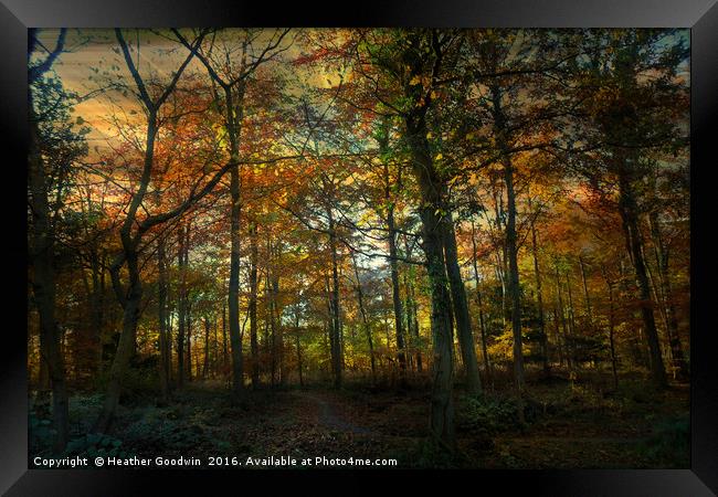 Autumn to Winter. Framed Print by Heather Goodwin