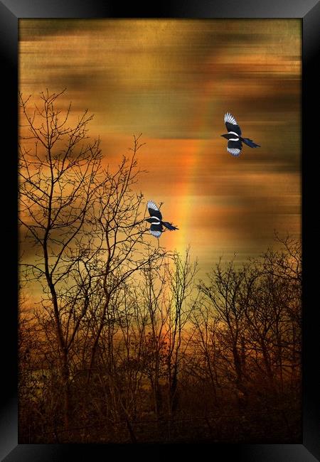 Rainbow Tracery. Framed Print by Heather Goodwin
