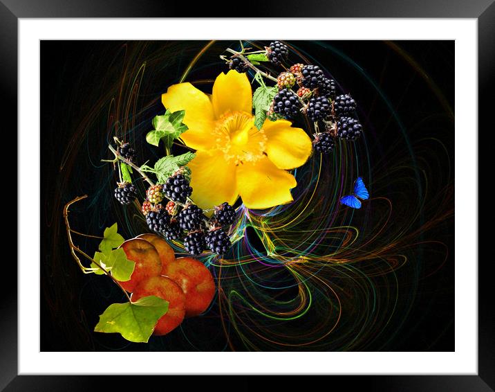 A Seasons Gifts. Framed Mounted Print by Heather Goodwin
