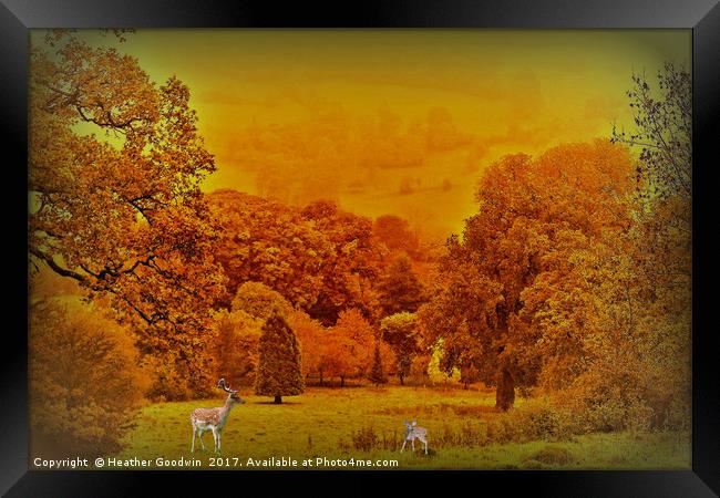 View Across the Park. Framed Print by Heather Goodwin