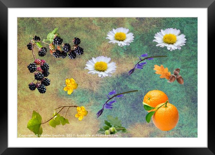 Nature's Mix. Framed Mounted Print by Heather Goodwin