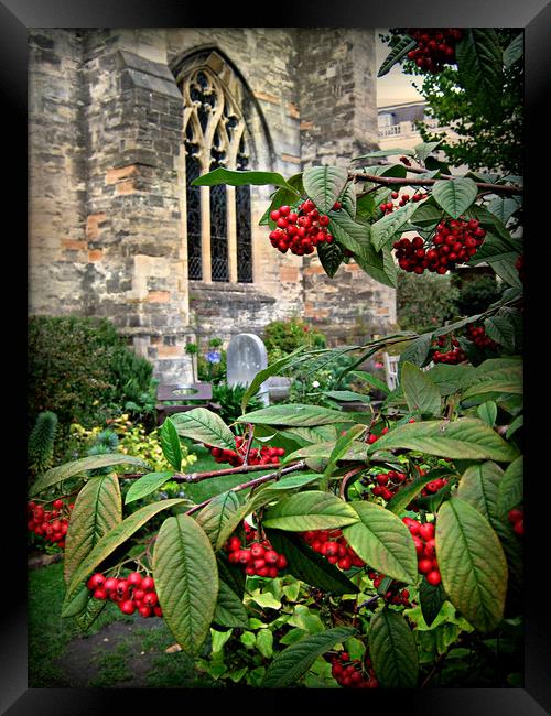 Bristol Cathedral Garden Framed Print by Heather Goodwin