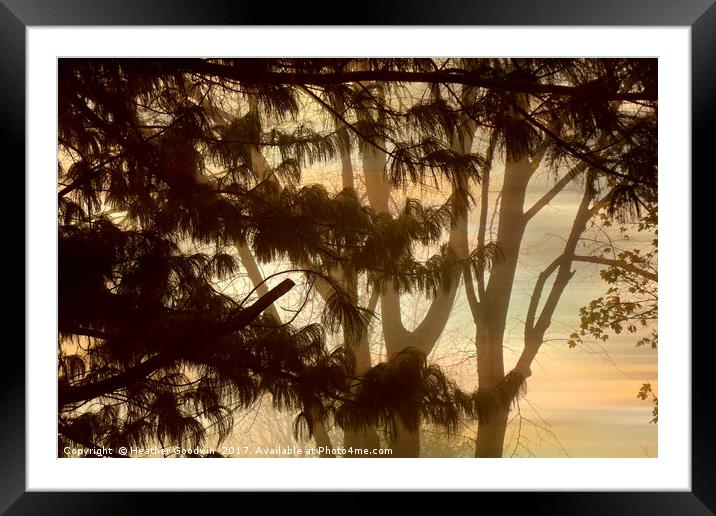 Misty Tangle Framed Mounted Print by Heather Goodwin