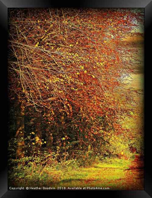 Autumnal Lanes Framed Print by Heather Goodwin