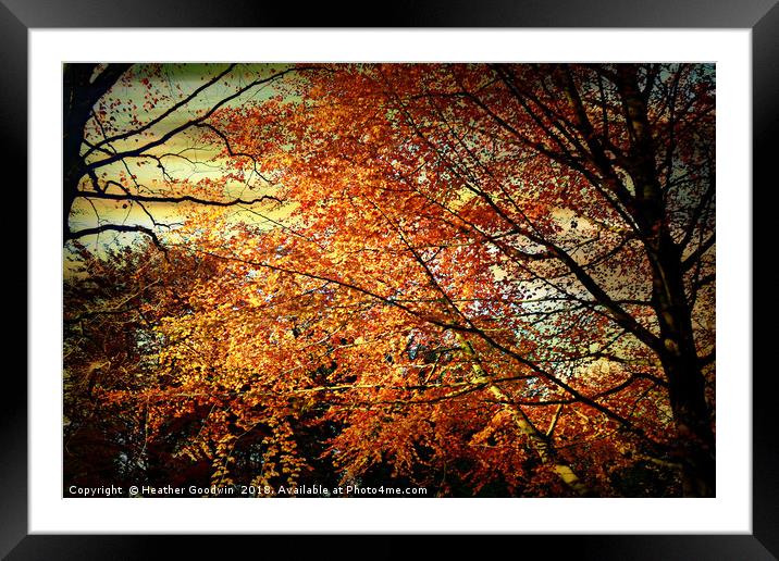 Touched by Autumn Framed Mounted Print by Heather Goodwin