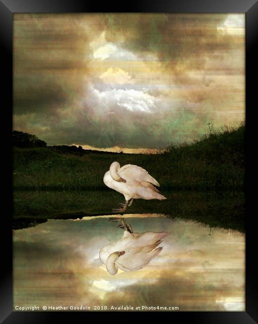 Swan Song Framed Print by Heather Goodwin