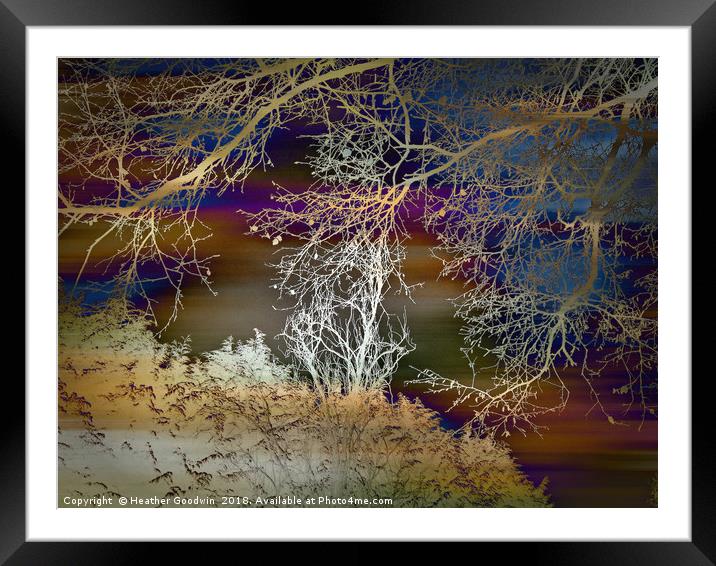 Winter's Bite Framed Mounted Print by Heather Goodwin