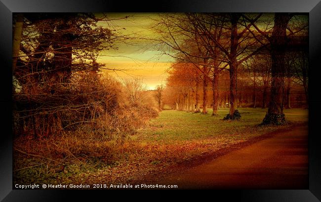 Beech Avenue Framed Print by Heather Goodwin