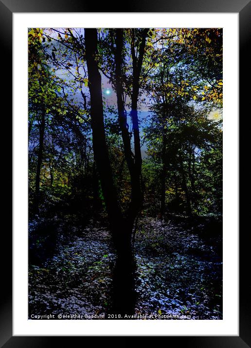 Night Glow Framed Mounted Print by Heather Goodwin