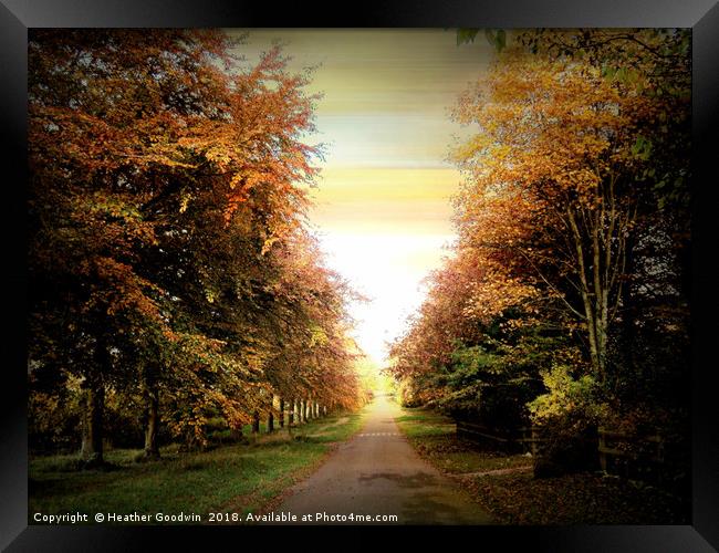 Autumn Exposure Framed Print by Heather Goodwin