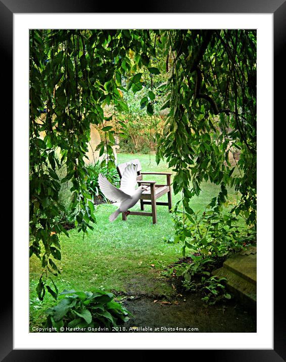 Garden of Peace Framed Mounted Print by Heather Goodwin