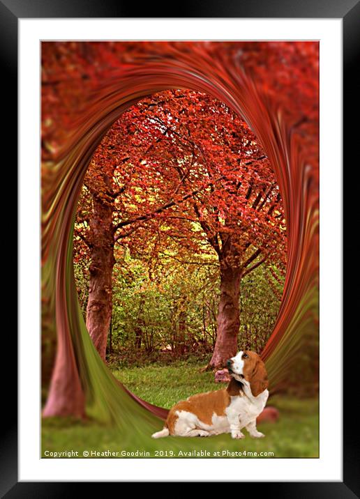 Colour me Autumn Framed Mounted Print by Heather Goodwin