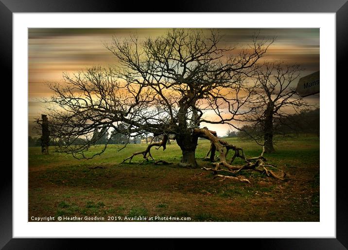 Last Man Standing Framed Mounted Print by Heather Goodwin