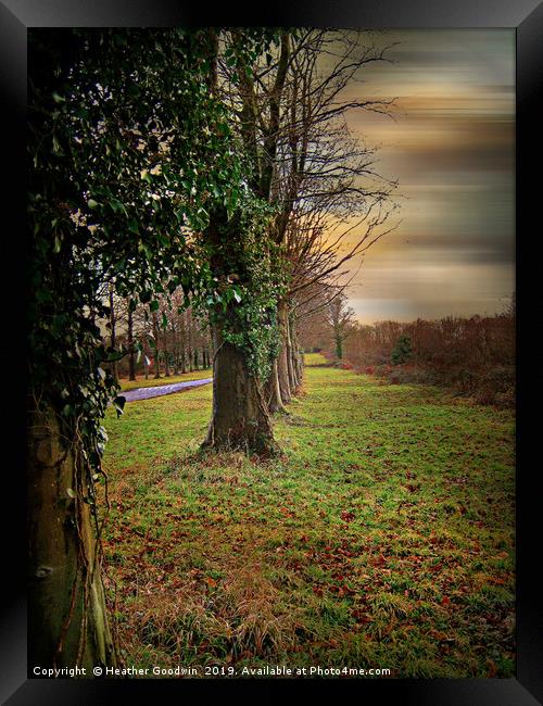 Tree Lined Walk Framed Print by Heather Goodwin