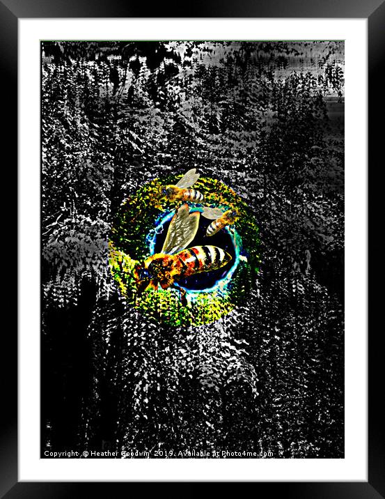 The Portal Framed Mounted Print by Heather Goodwin
