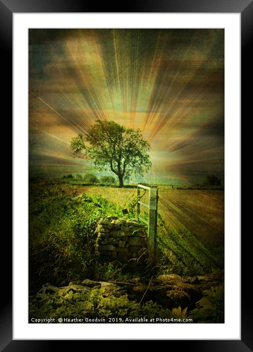 Jacob's Field Framed Mounted Print by Heather Goodwin