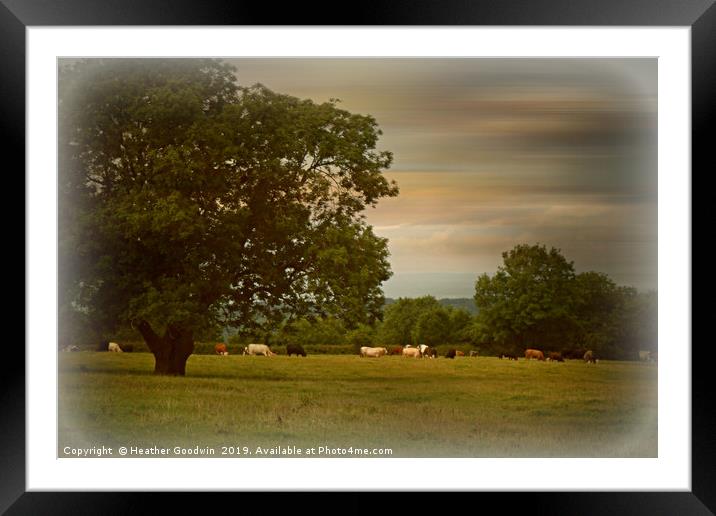 Quiet Pastures Framed Mounted Print by Heather Goodwin