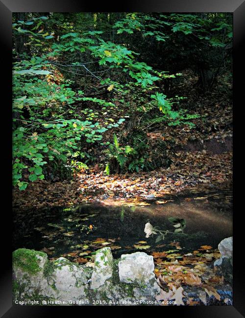 The Hidden Pool Framed Print by Heather Goodwin