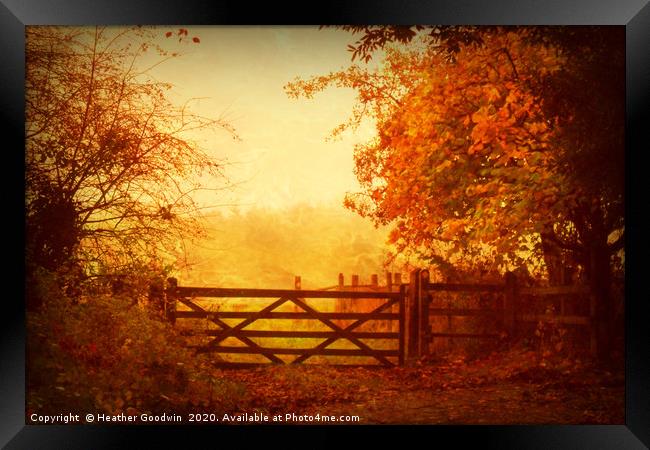 The Five Barred Gate Framed Print by Heather Goodwin