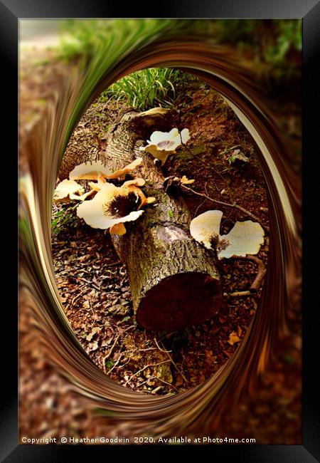 Woodland Fungi Framed Print by Heather Goodwin