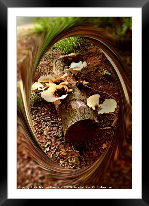 Woodland Fungi Framed Mounted Print by Heather Goodwin