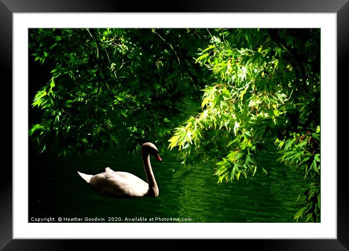 Quiet Waters Framed Mounted Print by Heather Goodwin