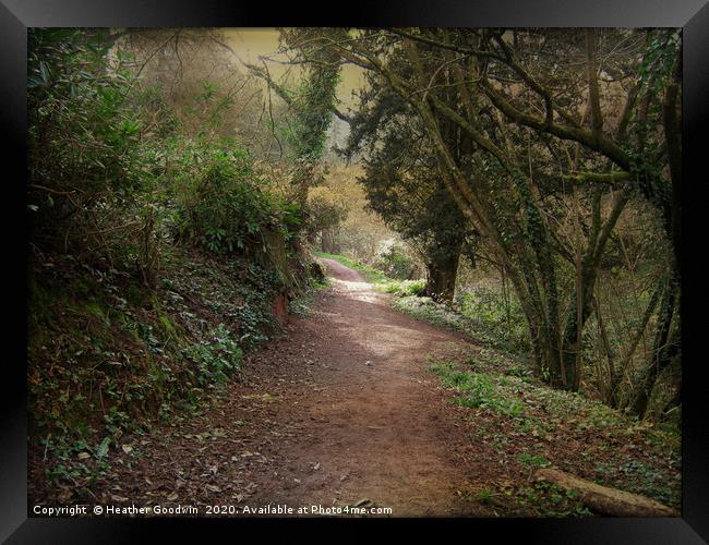 The Sloping Path Framed Print by Heather Goodwin