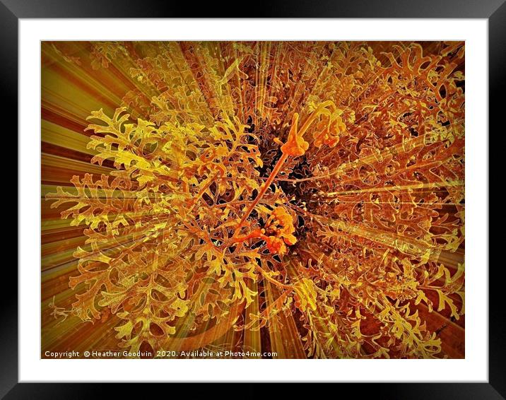 Fern and Flower Framed Mounted Print by Heather Goodwin