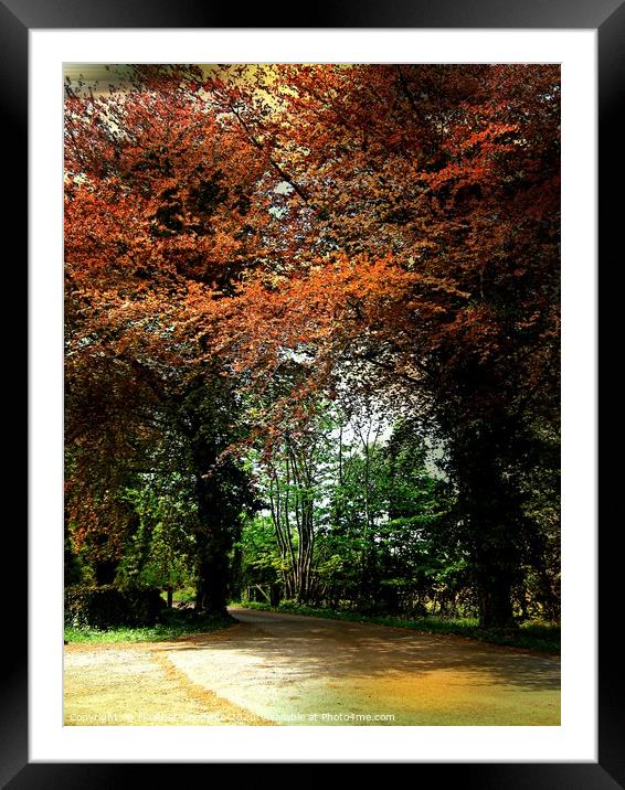 The Copper Beeches Framed Mounted Print by Heather Goodwin